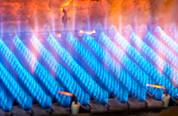 Waunfawr gas fired boilers